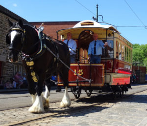 Horse Tram + driver