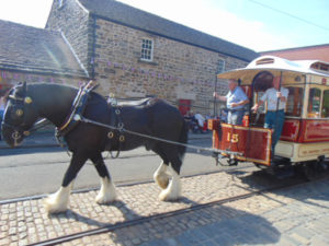 Horse tram