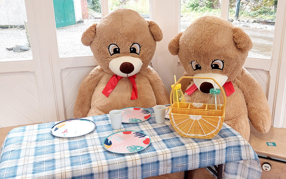 Bears at Table