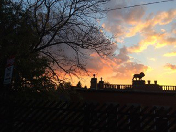 Evening shot - top of the Red Lion